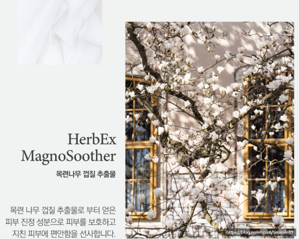우지화장품 이미지