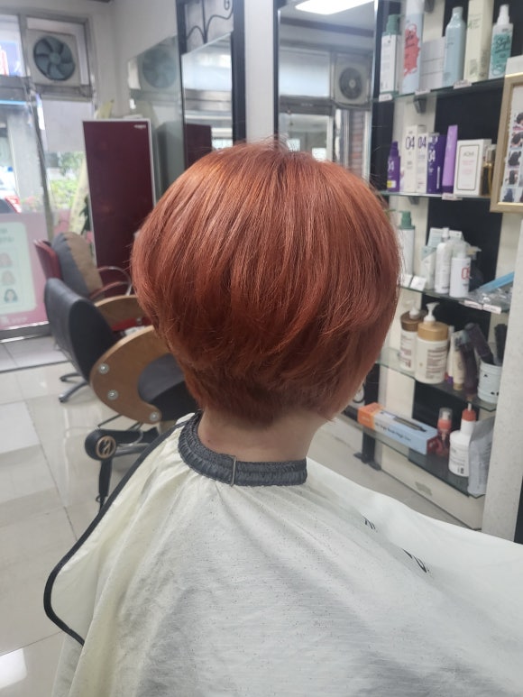 박정숙미플러스 이미지