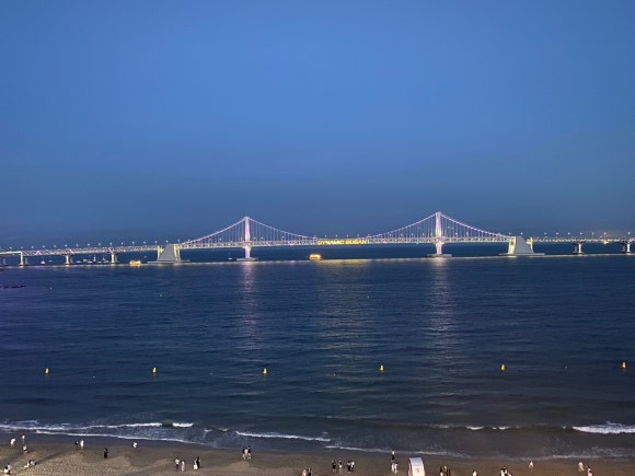 사하정비주 이미지