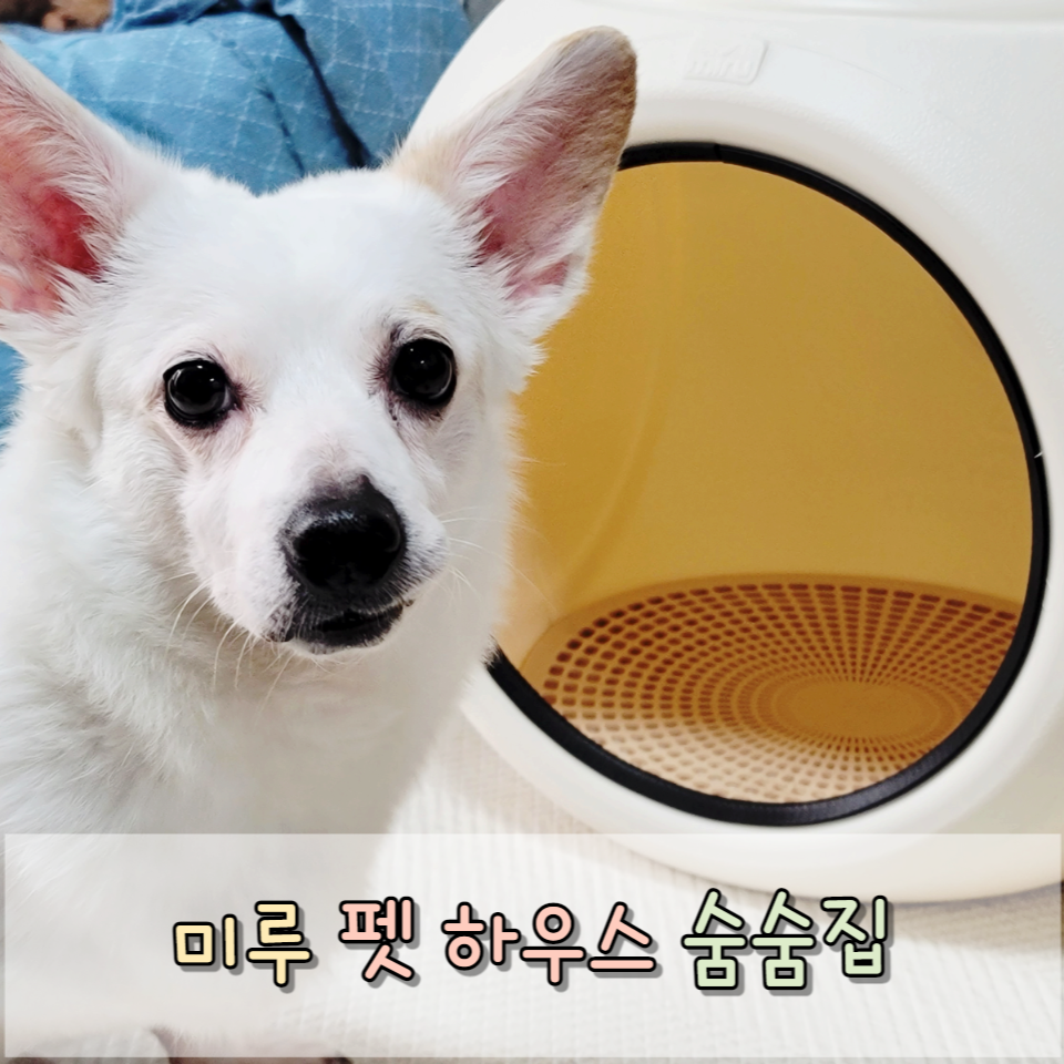미루하우스 이미지