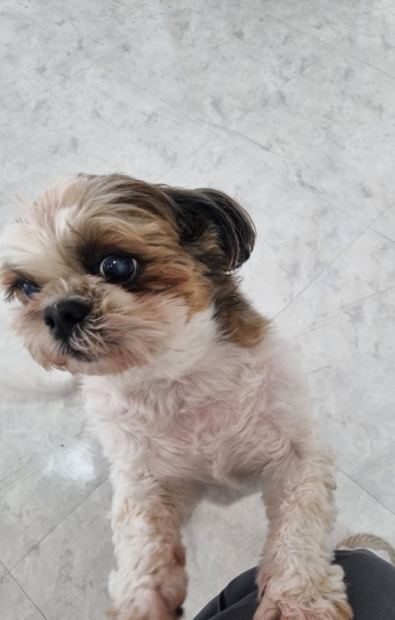 네일더행복하게 이미지