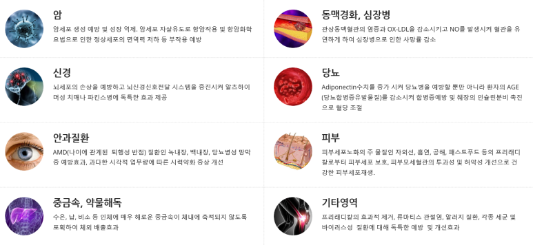 주식회사 제이비케이랩 이미지