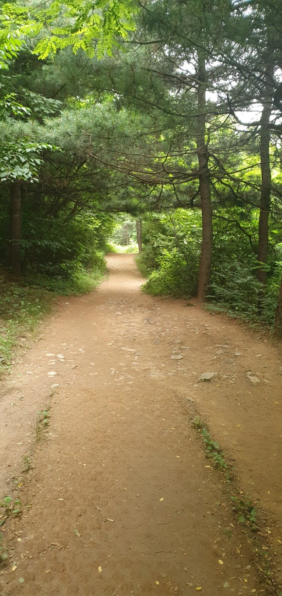 공차인천원당점 이미지