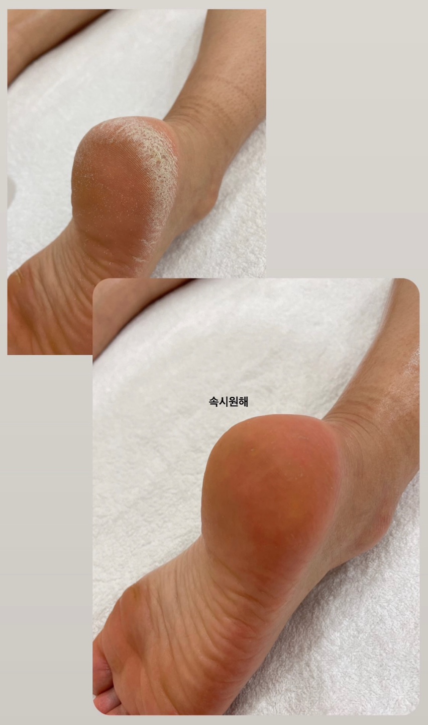 워니비 이미지