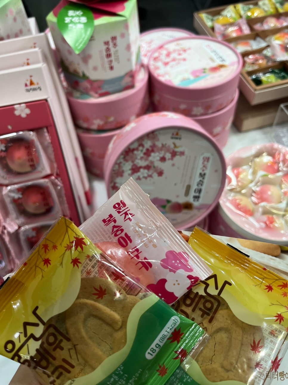 쿠키캐슬속초 이미지