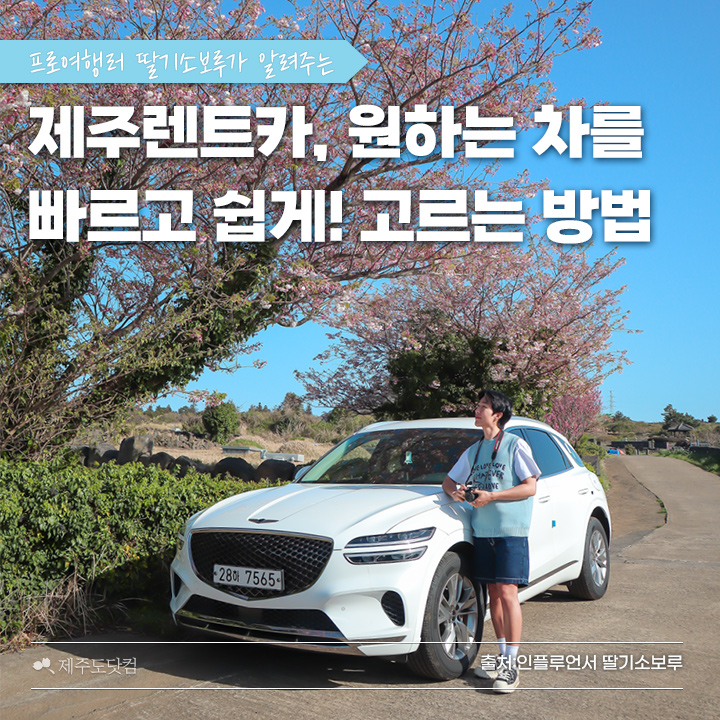 프로렌트카 이미지