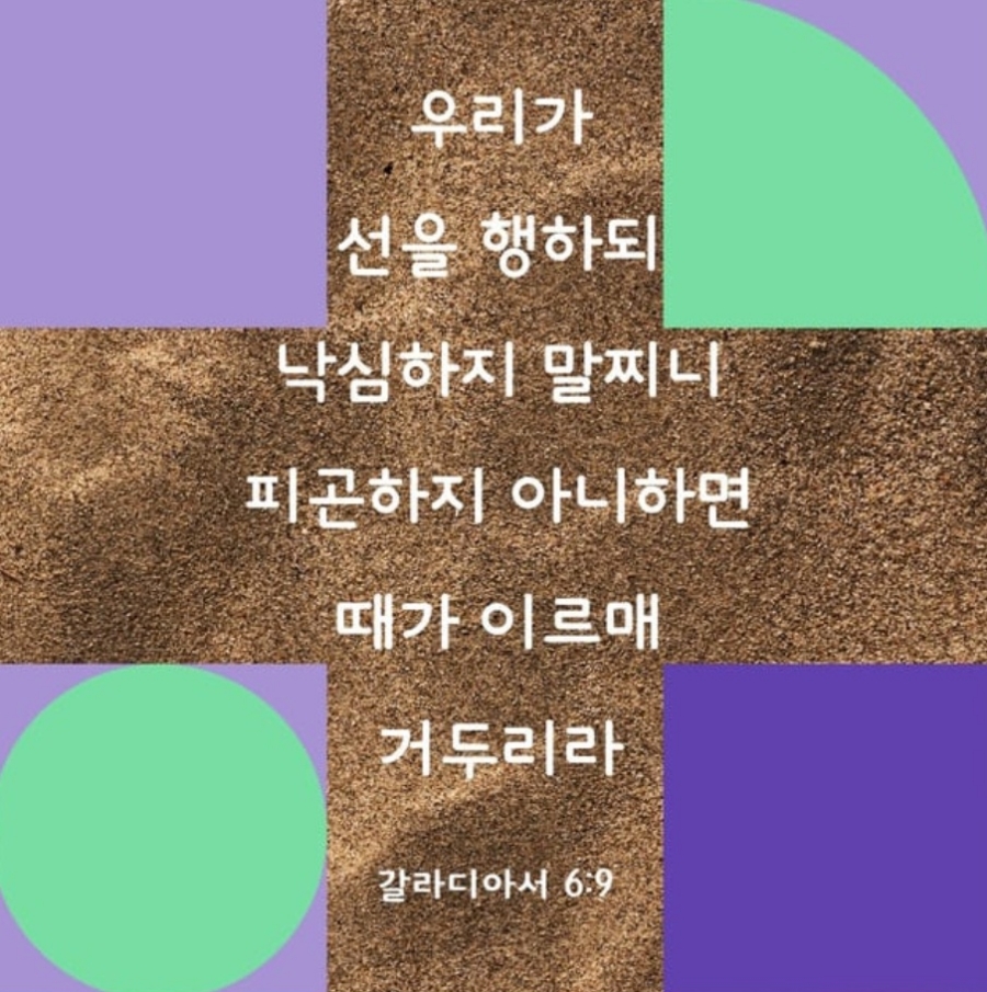 오늘제주 이미지