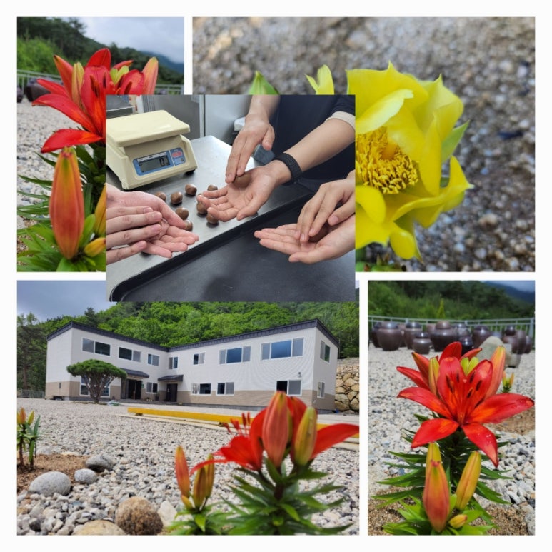 지리산바이오식품 이미지