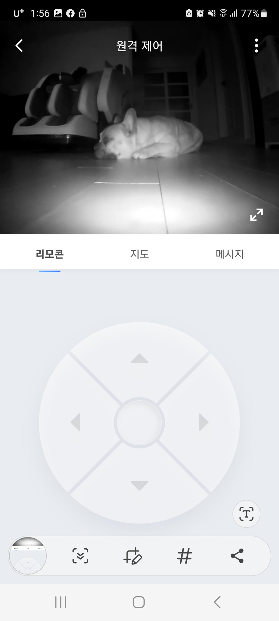 돈오리비해피 이미지