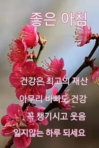 만석민박 이미지