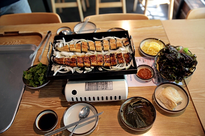 힘찬장어 이미지