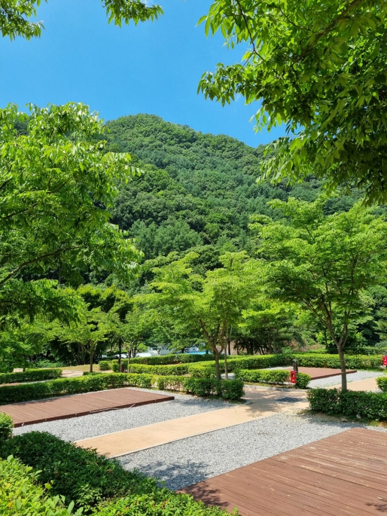 천동명성식당 이미지