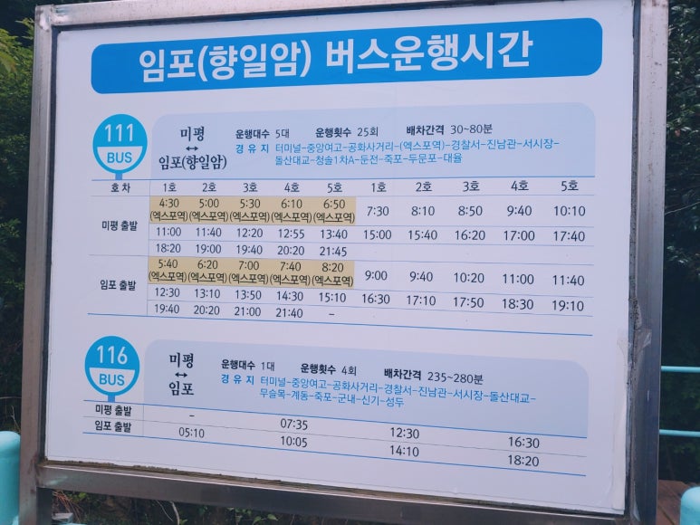 냥치케 여수 이미지