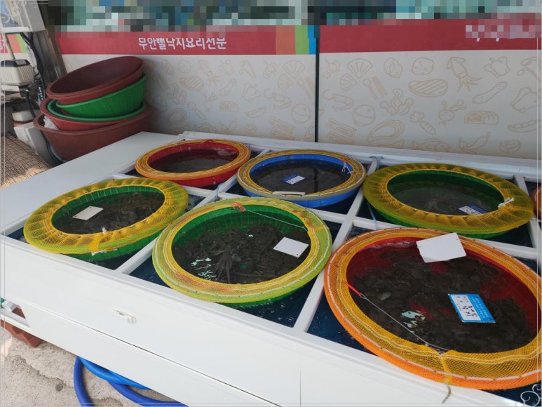 독천무안뻘낙지 이미지