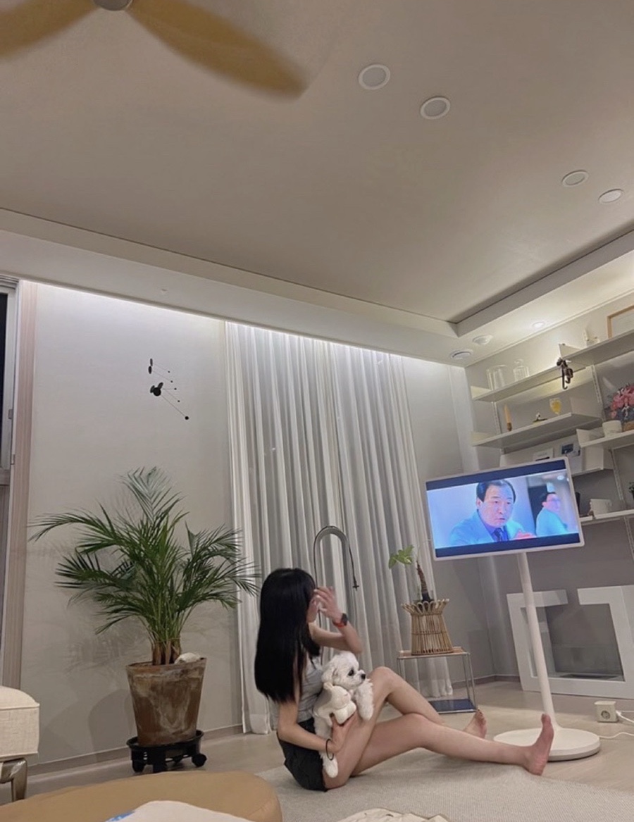 어나인스 이미지