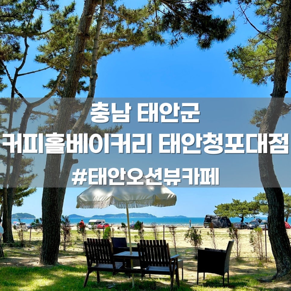 커피홀베이커리태안청포대점 이미지