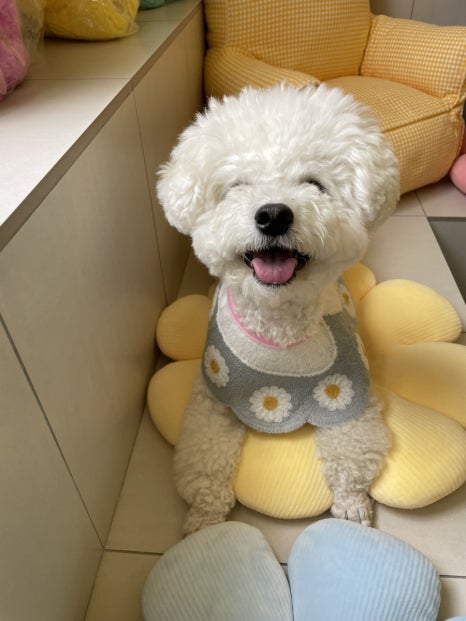 오알카페 이미지