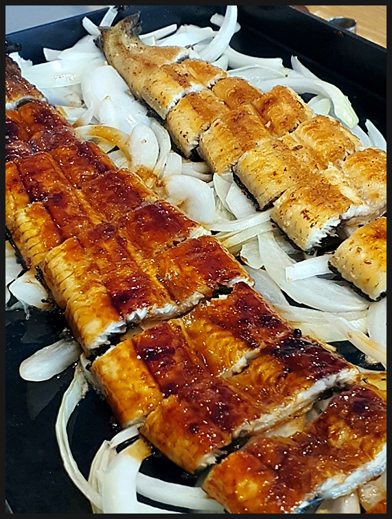 힘찬장어 이미지