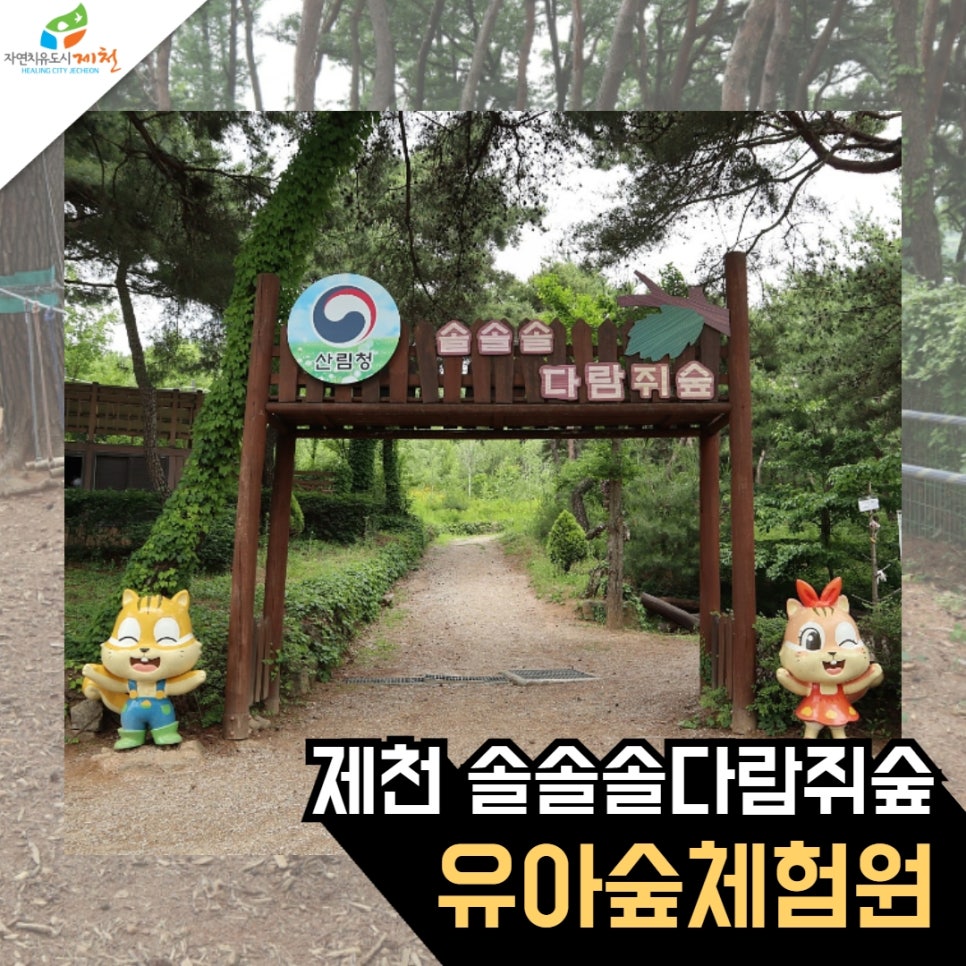 솔솔솔 다람쥐숲 유아숲체험원 이미지