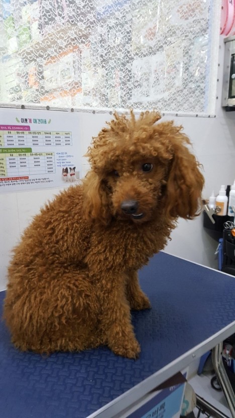 1번가헤어 이미지