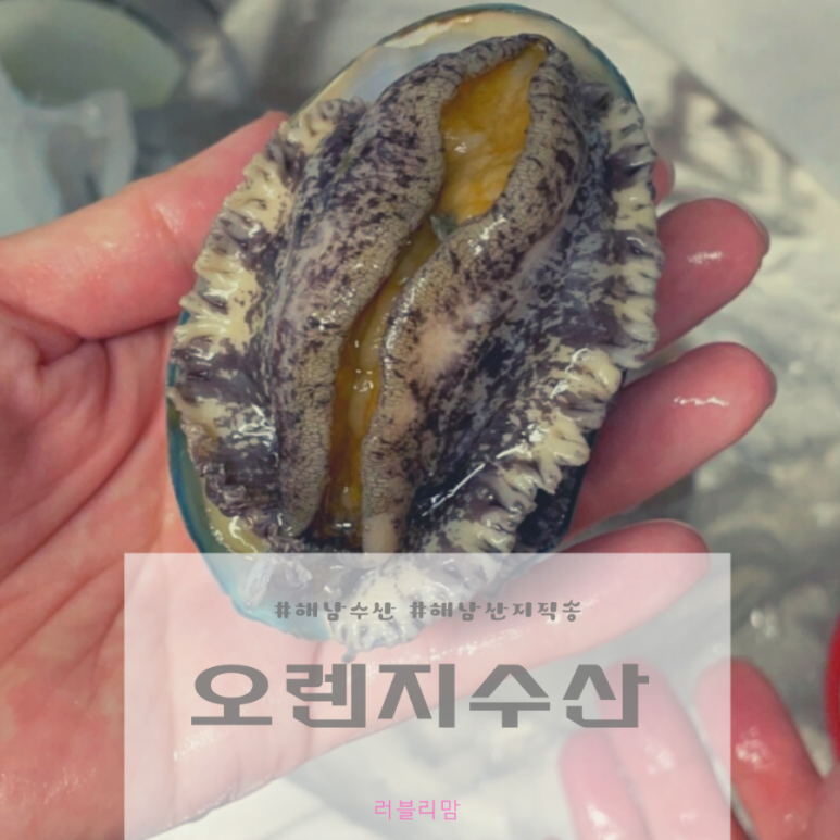 오렌지수산 이미지