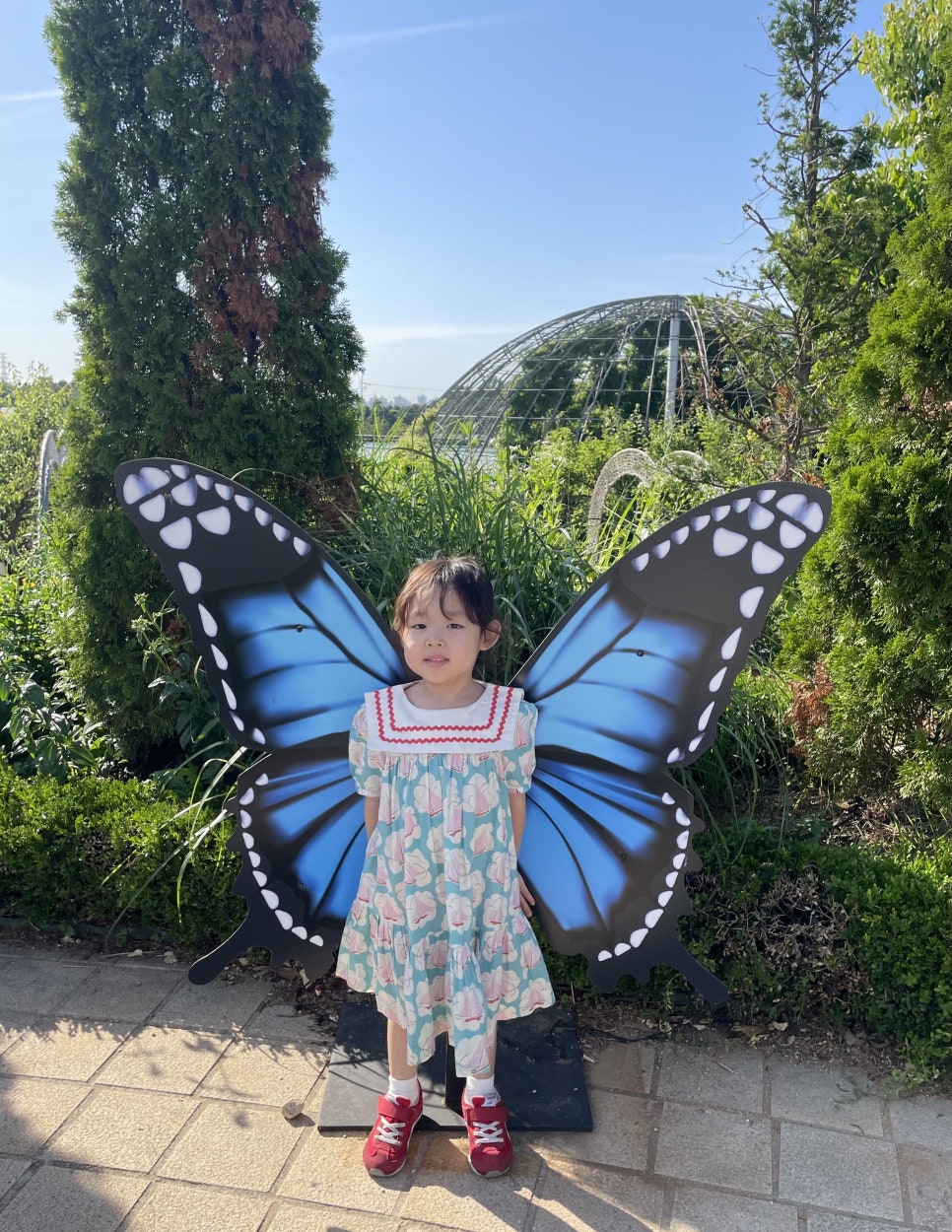 아이키즈 이미지