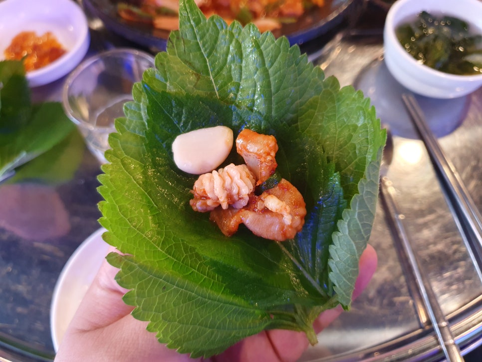 꼼짱먹짱 이미지