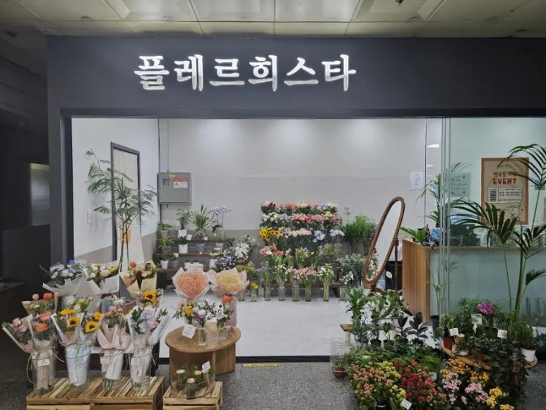 플레르희스타 이미지