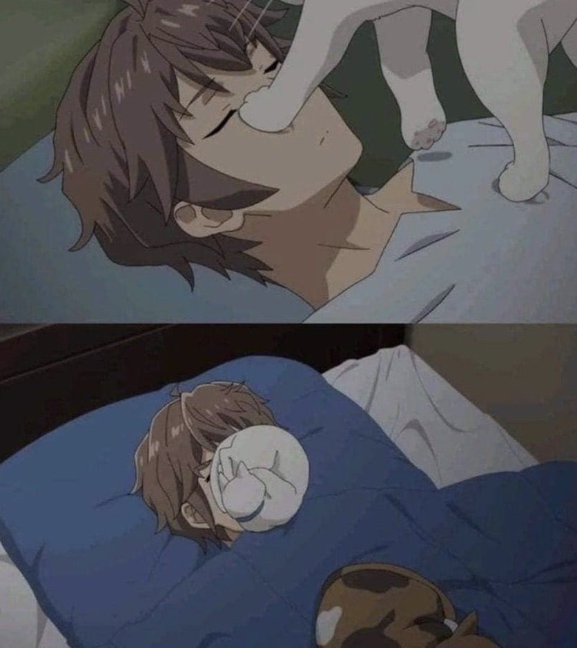 야키니쿠우연 이미지