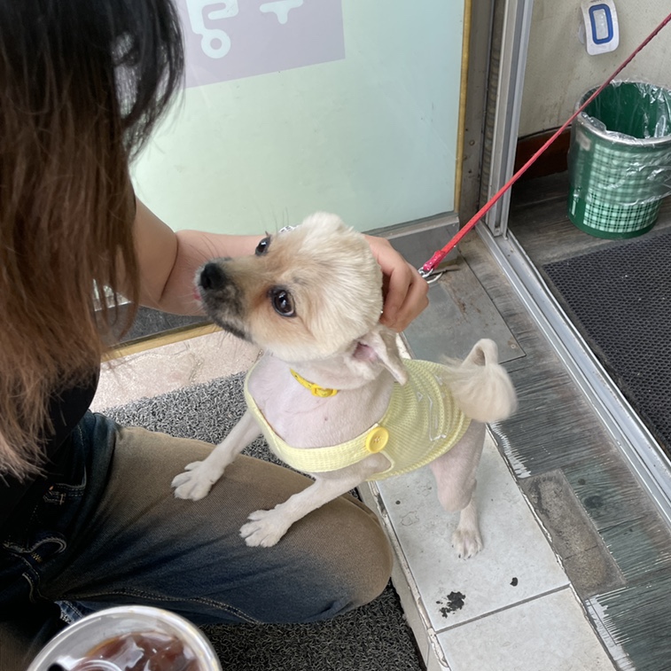 레몬뮤직실용음악학원 이미지