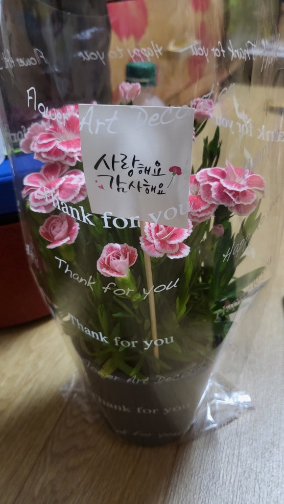 수원큐사랑염색 이미지