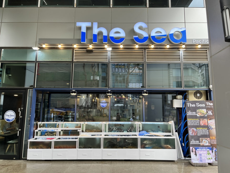 더씨.퍼시픽 이미지