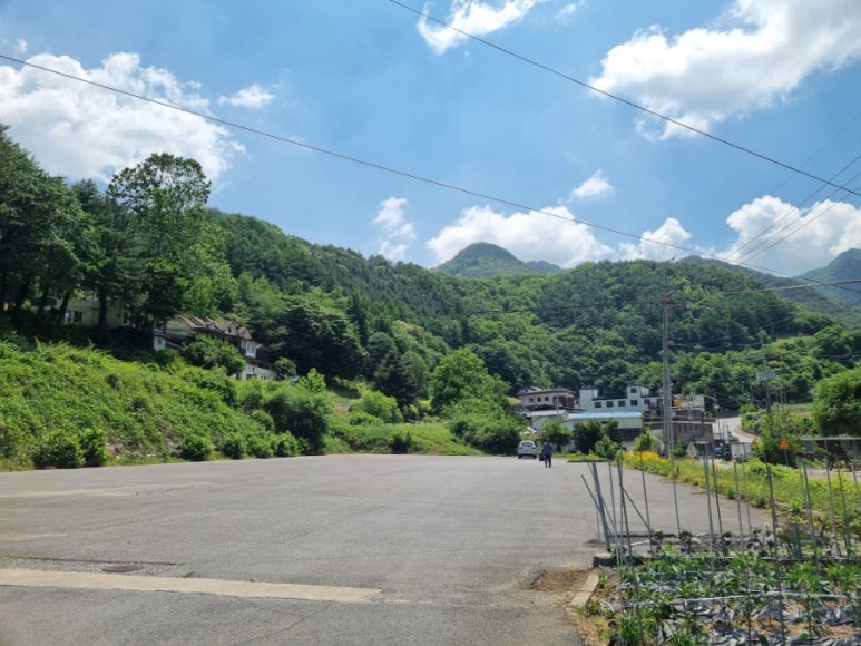 천동명성식당 이미지