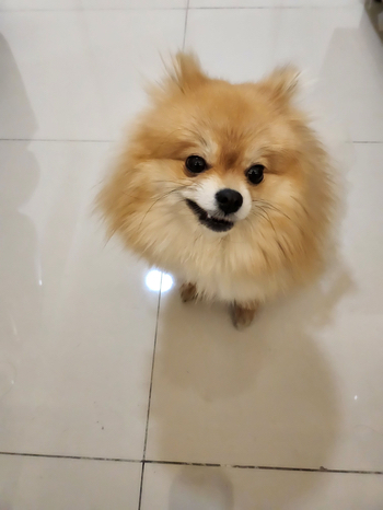 옥희미용실 이미지