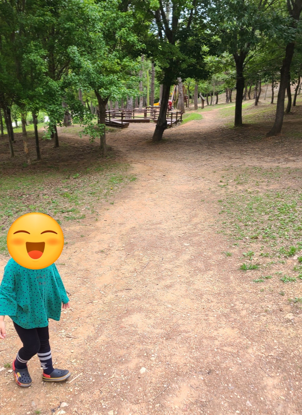 빛가람 유아숲체험원 이미지