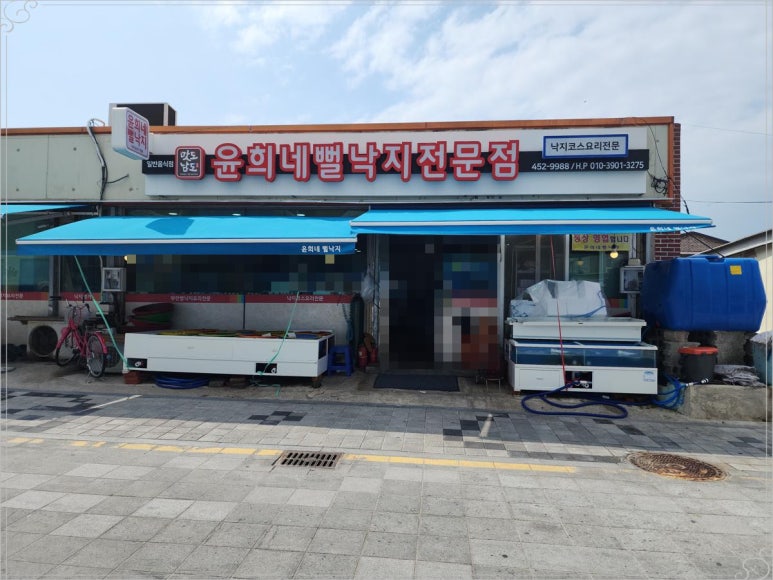 독천무안뻘낙지 이미지