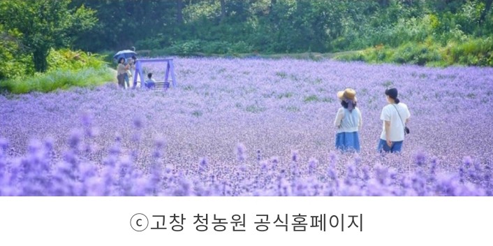청동원 이미지