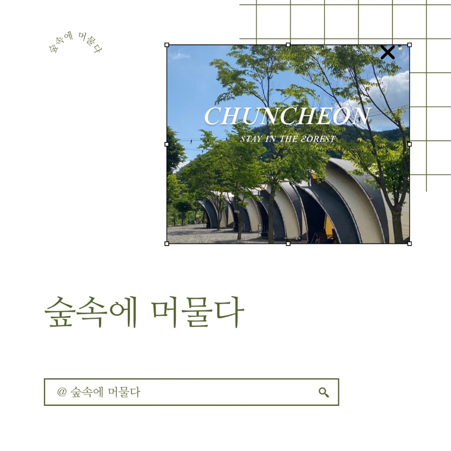 숲속에매점 이미지