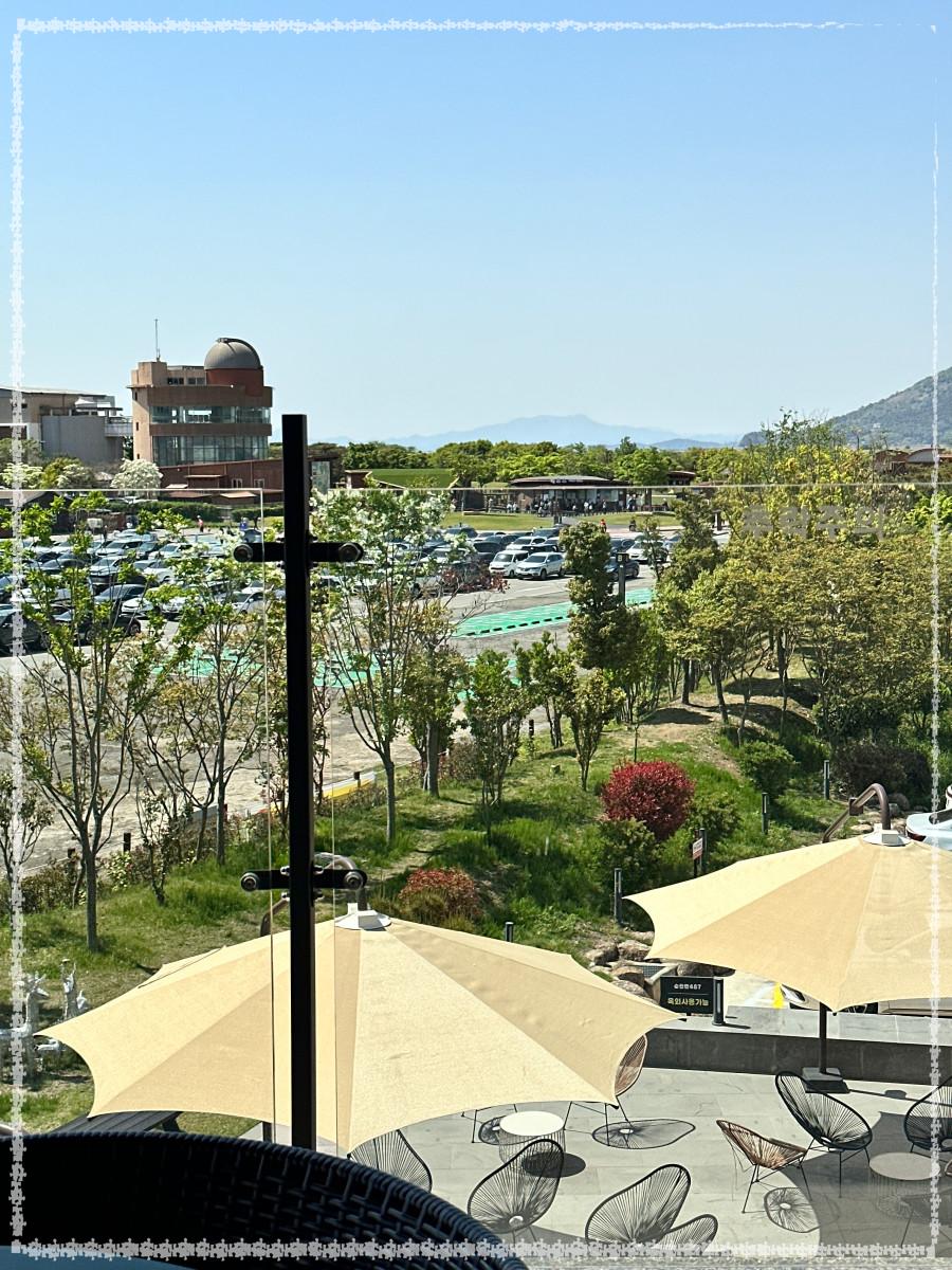 순천만487카페 이미지