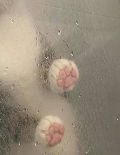 사이반주 이미지