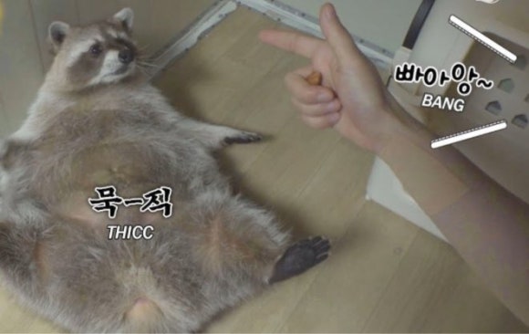산도록 이미지