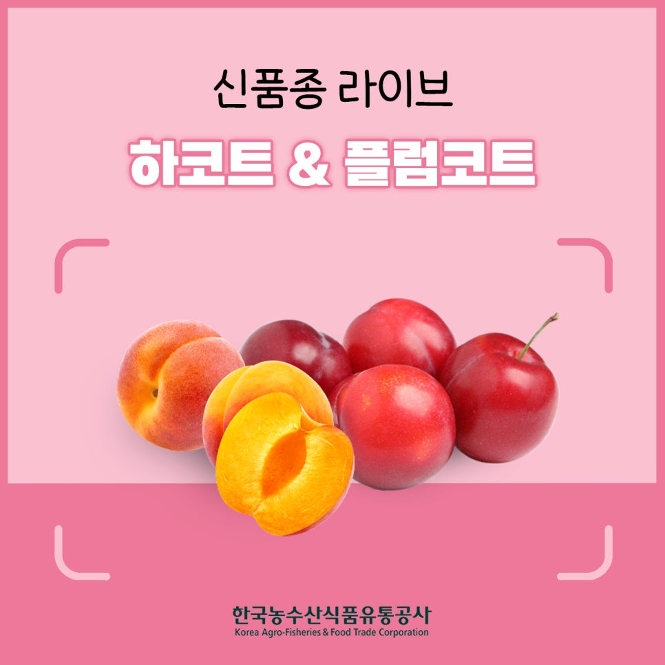 가나안스튜디오 이미지