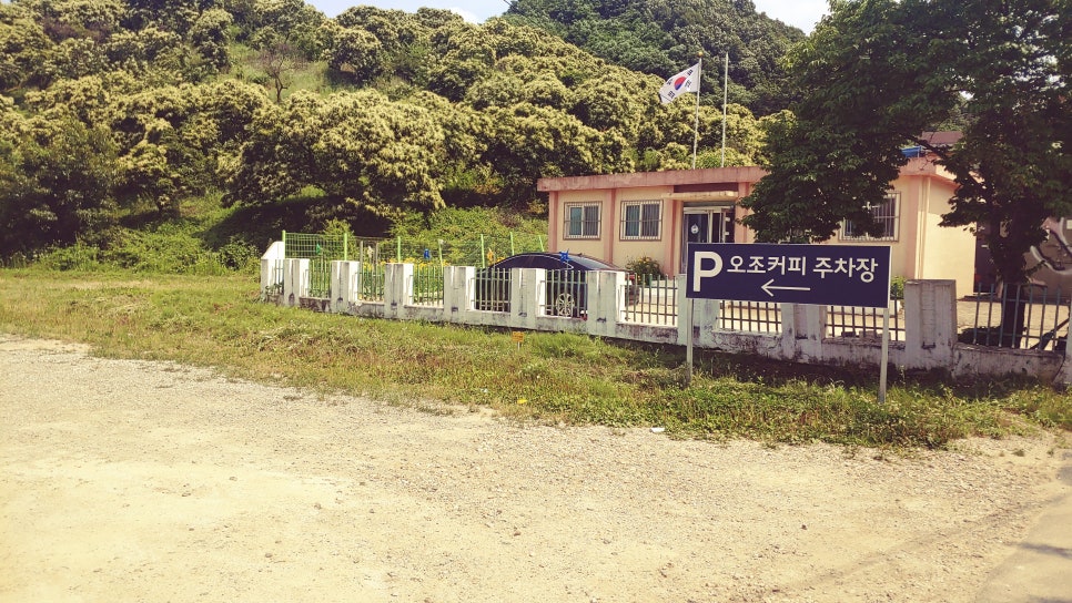 오조커피 이미지
