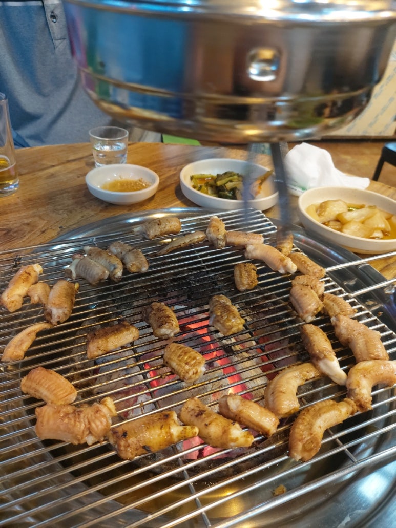 등대지기꼼장어 이미지