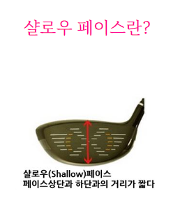 딥페일 이미지