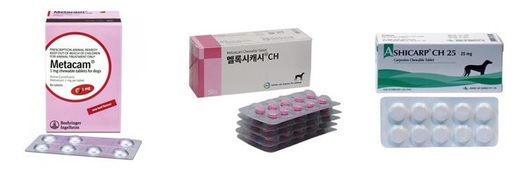 로시종합환경 이미지