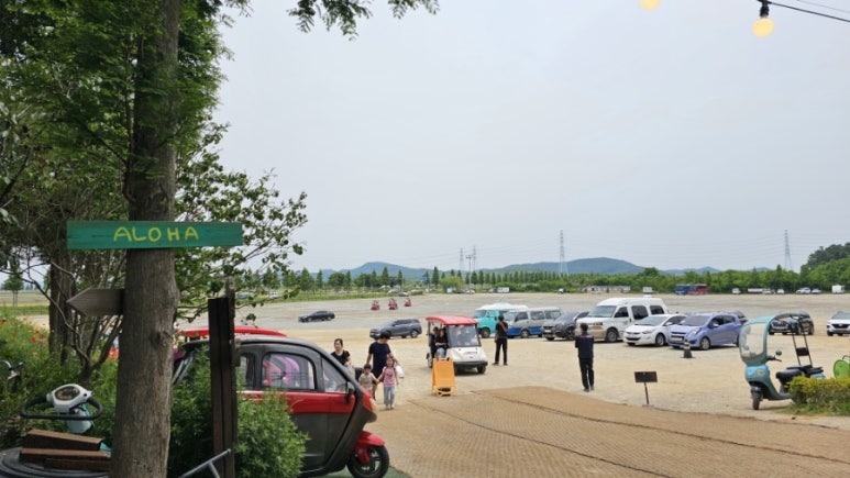 함초당&알로하피크닉 이미지