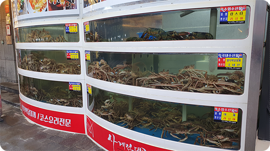 사계절참맛 이미지
