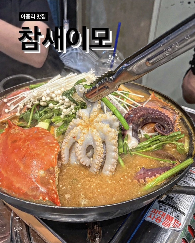 참새이모 이미지