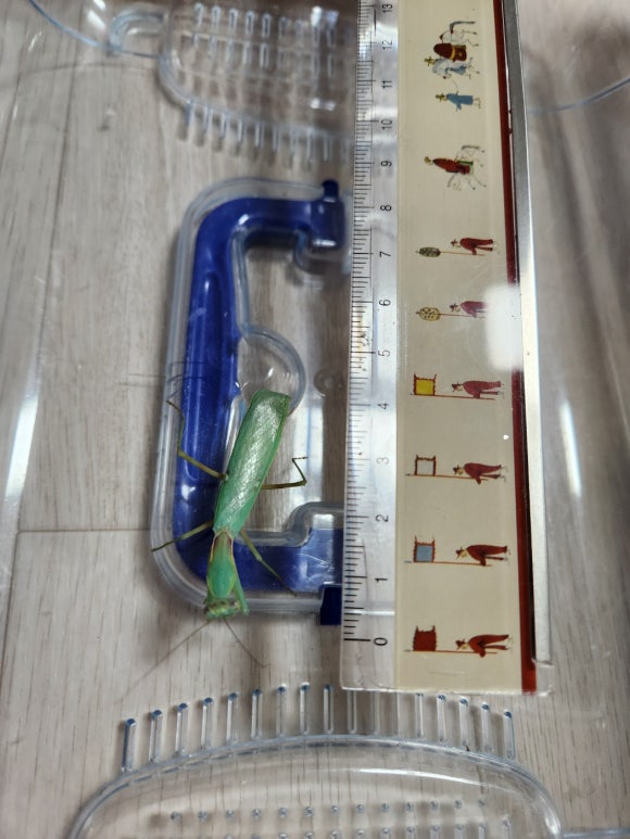 지은기물 이미지